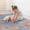 4x6 Area Rug, Washable Rug, Low-Pile, Non-Slip, Non-Shedding, Foldable, Kid & Pet Friendly - Area Rugs for living room, bedroom, kitchen